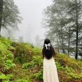 Flying - music and inspiration