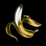 Ape.Day - запуск шиткоинов на TON