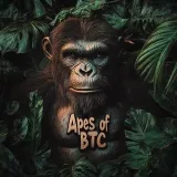 Apes of BTC - BTC Game