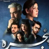 ARY Digital HD - Serie de televisión paquistaní