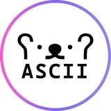 Ascii GPT - text and photo