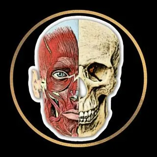 ATLAS DE ANATO - анатомия