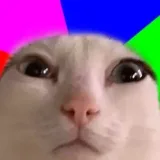 Autismo Memes- humor absurdo
