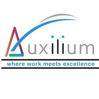 auxilium corp - e-commerce