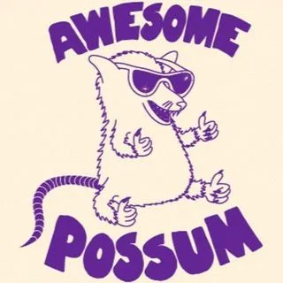 Awesome Possum Hits📻