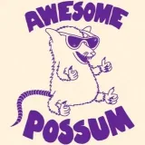 Awesome Possum Hits📻