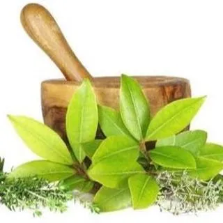 AYURVEDA HEALTH - аюрведа