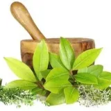 SALUD DE AYURVEDA - Ayurveda.