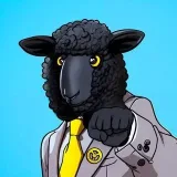 Baa Meme - мем-коин овечка