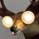 B_Bunn Meme Archive - memes.