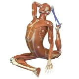 Bandha Yoga - Books and Articles