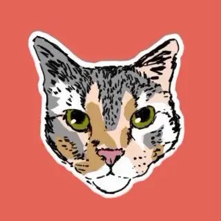 Base de gatos - милые котики