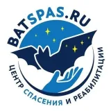 Batspas - помощь летучим мышам