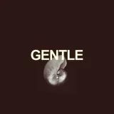 GENTLE - Marketing y Diseño