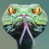 Be Not Deceived - The Bible