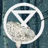 XRBerlin- Actions and information