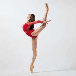 Best Ballerinas - гармония красоты балета