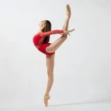 Best Ballerinas - гармония красоты балета