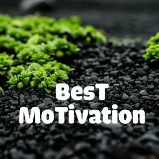 Best Motivation - Учеба и мотивация