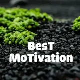 Mejor motivación- Estudio y motivación