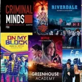 TV TVSeries Library- seriesBMS