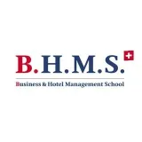 BHMS- gestión de negocios y hotelería
