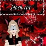 BlackCat - arts and cinema