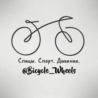 bicycle_wheels - сборка колес