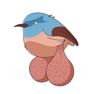 BIG BALLS BIRDS - бот птиц