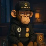 Caja de grandes sueños - cajasBinance