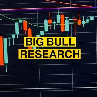 Big Bull Research - фундаментальный анализ