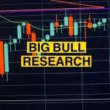 Investigación Big Bull - análisis fundamental