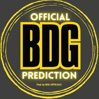 Bid dady pridiction - Прогнозы