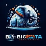 BigDatabaseProfessionals- Hadoop.Spark