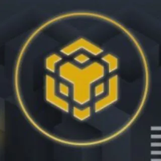 Binance Smartchain Project - ранние проекты