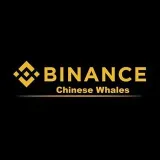 Ballenas binance- seguimiento de ballenas