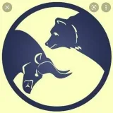 Opción Sinyal Binary - Señales