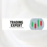 Experto en comercio - formación en comercio