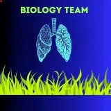 BIOLOGYTEAM - collaborative learning