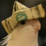 Canal de las Aves - aves y videos