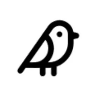 BirdyChat - быстрый чат