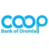 Cooperative Bank Oromia - финансы