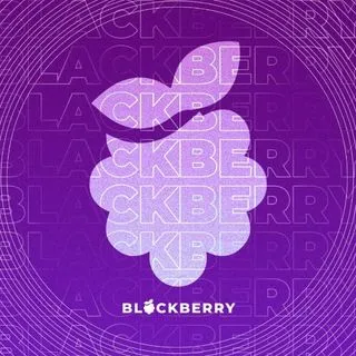 Blackberry - GTA RP контент