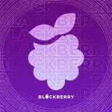Blackberry - GTA RP контент