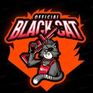 BLACK CAT OFFICIAL PROOF - читы для игр