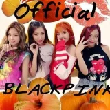 BP.official_BLACKPINK - All about the band.