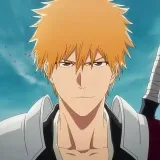 Bleach Cards - card fights