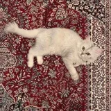 أثر- Temas árabes