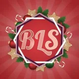 BLSFLIX Channel Link