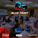 BLUEPRINT FOREX HUB analysis